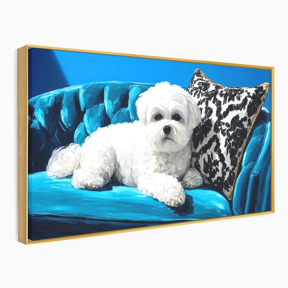 Tablou canvas cu pictura cu bichon alb pe canapea, in rama de aluminiu auriu